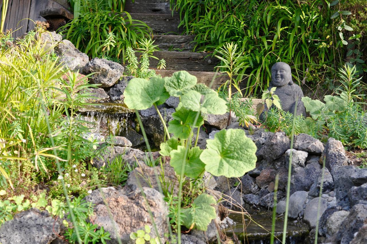 Hotel Kawai Purapura Yoga Retreat Centre Auckland Esterno foto